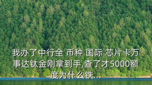 中國銀行全幣種國際芯片卡申請,全幣種國際芯片萬事達鈦金 中國銀行