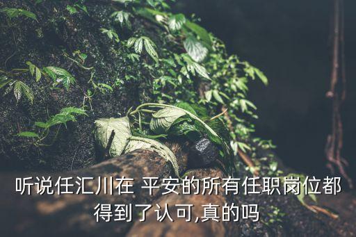 中國平安董事會風(fēng)險管理委員會,董事會風(fēng)險管理委員會的主要職責(zé)權(quán)限包括