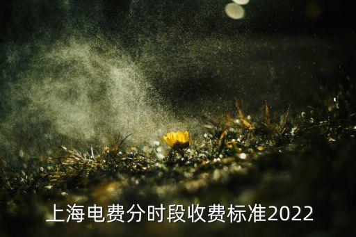  上海電費分時段收費標(biāo)準(zhǔn)2022