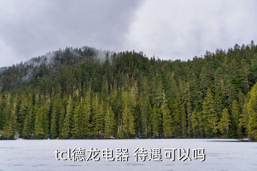 tcl醫(yī)療集團(tuán)待遇,深圳tcl集團(tuán)待遇怎么樣