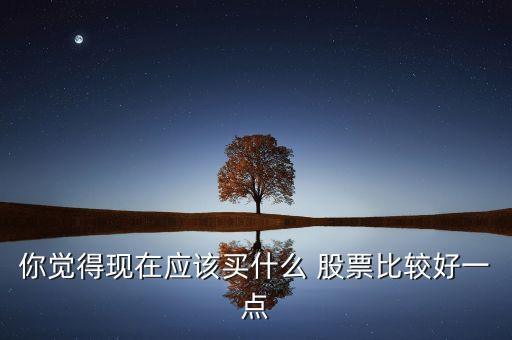 你覺(jué)得現(xiàn)在應(yīng)該買什么 股票比較好一點(diǎn)