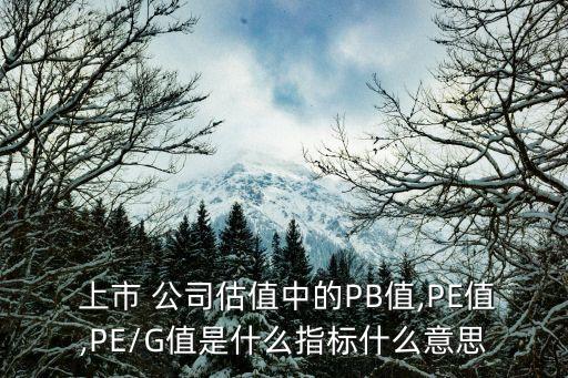  上市 公司估值中的PB值,PE值,PE/G值是什么指標(biāo)什么意思