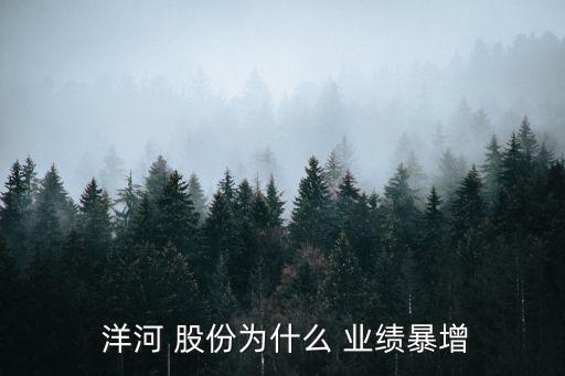  洋河 股份為什么 業(yè)績(jī)暴增