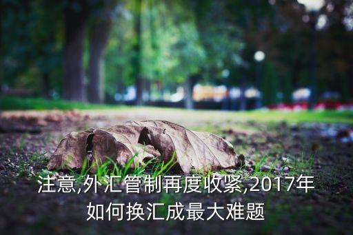 注意,外匯管制再度收緊,2017年如何換匯成最大難題