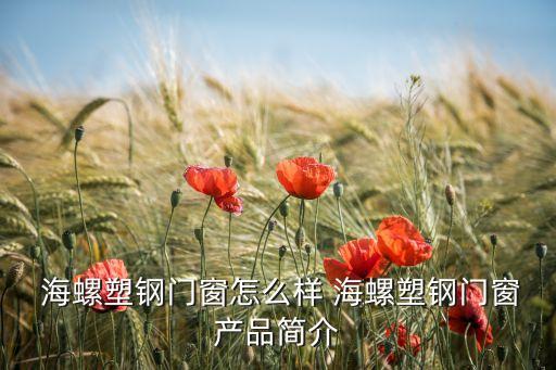  海螺塑鋼門窗怎么樣 海螺塑鋼門窗產(chǎn)品簡(jiǎn)介