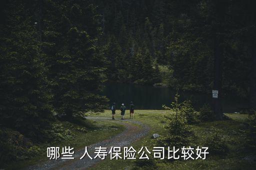 中國人壽綜合持續(xù)率