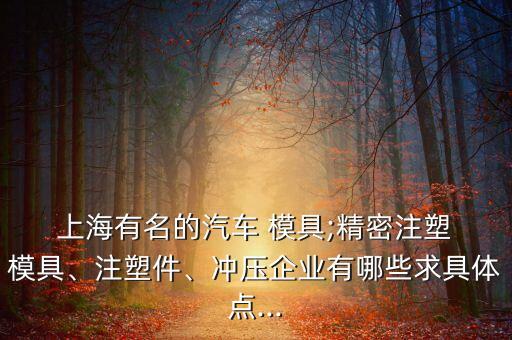  上海有名的汽車 模具;精密注塑 模具、注塑件、沖壓企業(yè)有哪些求具體點(diǎn)...