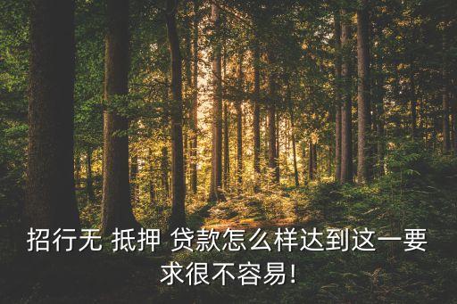 招行無 抵押 貸款怎么樣達(dá)到這一要求很不容易!