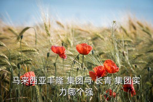 馬來(lái)西亞豐隆 集團(tuán)與 長(zhǎng)青 集團(tuán)實(shí)力哪個(gè)強(qiáng)