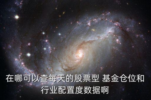 在哪可以查每天的股票型 基金倉(cāng)位和行業(yè)配置度數(shù)據(jù)啊