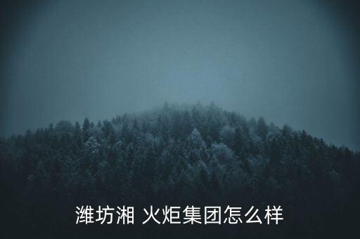 株洲火炬工程有限責任公司,株洲新凱工程建設(shè)監(jiān)理有限責任公司