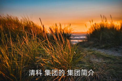  清科 集團(tuán)的 集團(tuán)簡(jiǎn)介