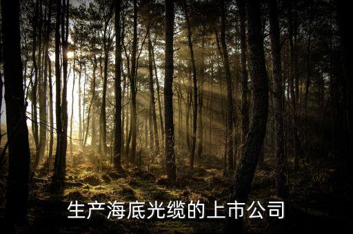 鼎和科技股份有限公司,西安鼎研科技股份有限公司怎么樣