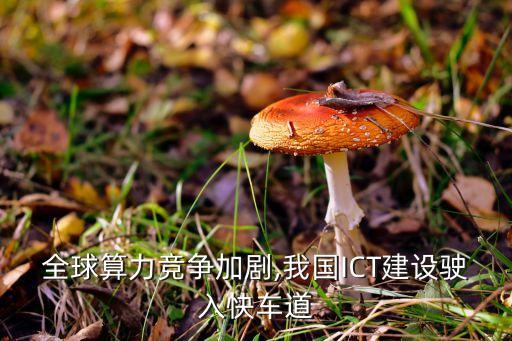 工信部中國互聯(lián)網(wǎng)金融研究院,史劼-工信部 中國工業(yè)互聯(lián)網(wǎng)研究院