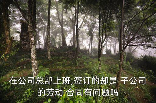 子公司合同管理,集團(tuán)如何管理子公司