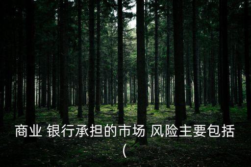 商業(yè) 銀行承擔(dān)的市場(chǎng) 風(fēng)險(xiǎn)主要包括(