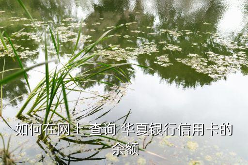 如何在網(wǎng)上 查詢 華夏銀行信用卡的 余額