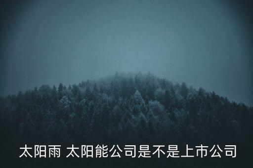  太陽雨 太陽能公司是不是上市公司