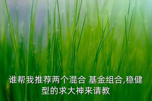 誰(shuí)幫我推薦兩個(gè)混合 基金組合,穩(wěn)健型的求大神來請(qǐng)教