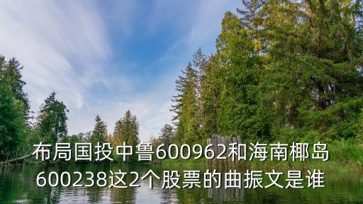 布局國投中魯600962和海南椰島600238這2個股票的曲振文是誰