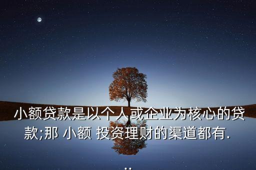  小額貸款是以個人或企業(yè)為核心的貸款;那 小額 投資理財?shù)那蓝加?..