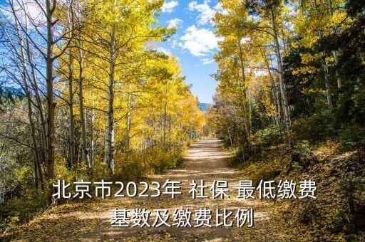 北京社保最低標(biāo)準(zhǔn),2023社保繳費價格表