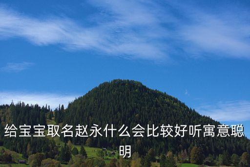 給寶寶取名趙永什么會(huì)比較好聽(tīng)寓意聰明