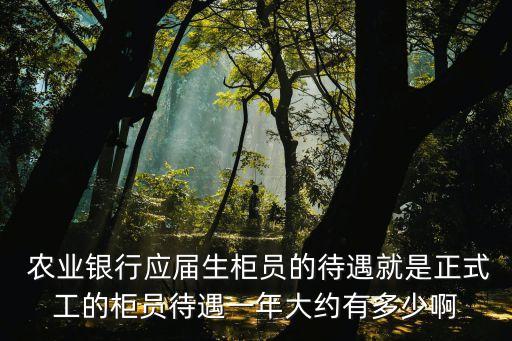  農(nóng)業(yè)銀行應屆生柜員的待遇就是正式工的柜員待遇一年大約有多少啊