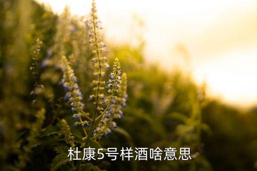  杜康5號(hào)樣酒啥意思