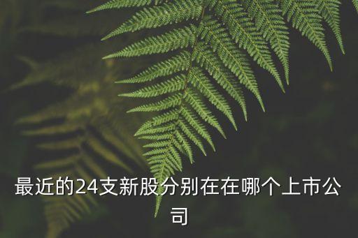 最近的24支新股分別在在哪個(gè)上市公司