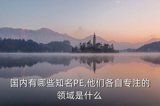 國內(nèi)有哪些知名PE,他們各自專注的領域是什么