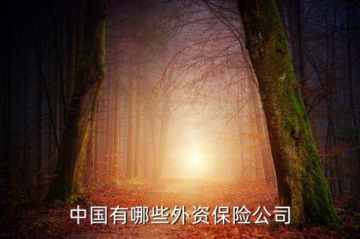 中國有哪些外資保險(xiǎn)公司