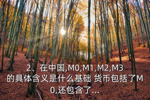 2、在中國(guó),M0,M1,M2,M3的具體含義是什么基礎(chǔ) 貨幣包括了M0,還包含了...