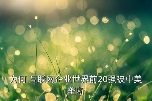 為何 互聯(lián)網(wǎng)企業(yè)世界前20強被中美壟斷