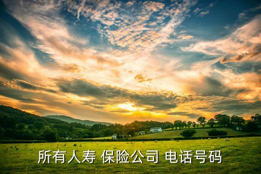 保險(xiǎn)公司排名電話,中國(guó)保險(xiǎn)公司十大排名