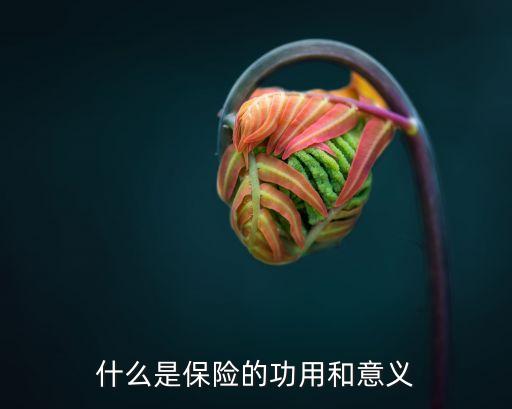 什么是保險(xiǎn)的功用和意義