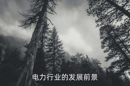 電力行業(yè)的發(fā)展前景