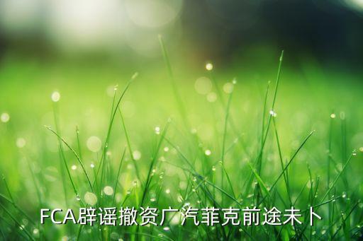 FCA辟謠撤資廣汽菲克前途未卜