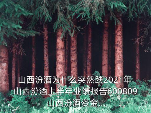  山西汾酒為什么突然跌2021年 山西汾酒上半年業(yè)績報告600809 山西汾酒資金...