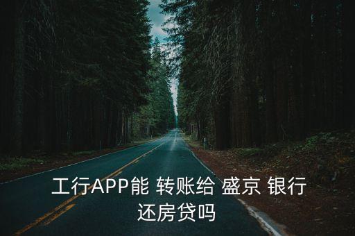  工行APP能 轉(zhuǎn)賬給 盛京 銀行還房貸嗎