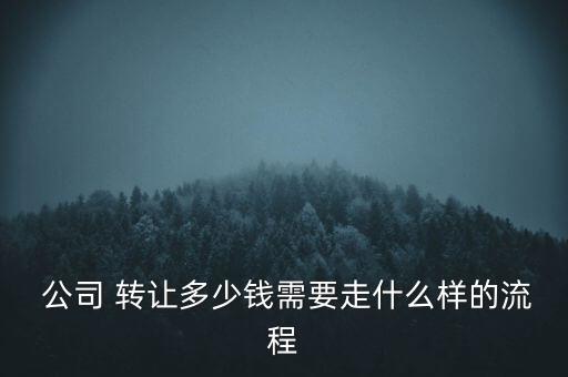  公司 轉(zhuǎn)讓多少錢(qián)需要走什么樣的流程