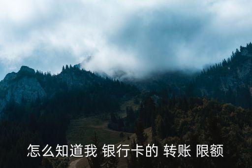 怎么知道我 銀行卡的 轉(zhuǎn)賬 限額