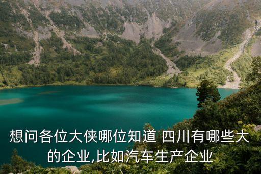 想問(wèn)各位大俠哪位知道 四川有哪些大的企業(yè),比如汽車生產(chǎn)企業(yè)