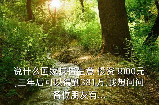 說什么國(guó)家扶持生意 投資3800元,三年后可以得到381萬,我想問問各位朋友有...