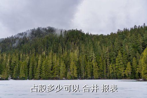 占股多少可以 合并 報表