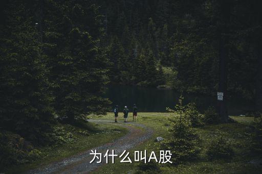 為什么叫A股