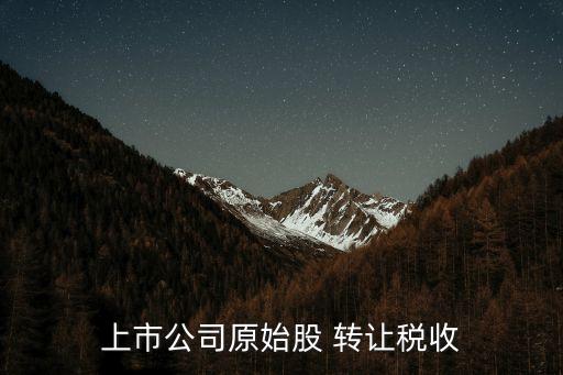 轉(zhuǎn)讓股票是否繳納營(yíng)業(yè)稅,納稅人轉(zhuǎn)讓專(zhuān)利權(quán)繳納營(yíng)業(yè)稅