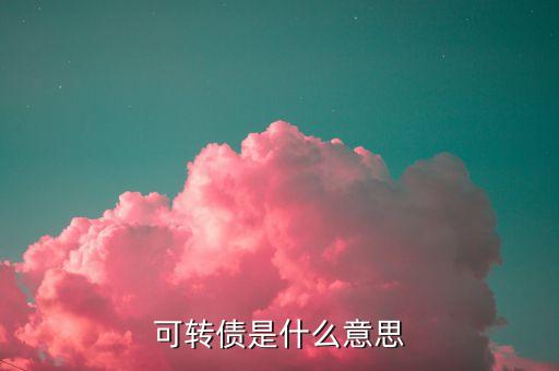 可轉(zhuǎn)換公司債券暫行辦法