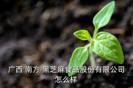 廣西 南方 黑芝麻食品股份有限公司怎么樣