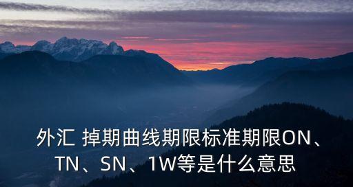  外匯 掉期曲線期限標(biāo)準(zhǔn)期限ON、TN、SN、1W等是什么意思